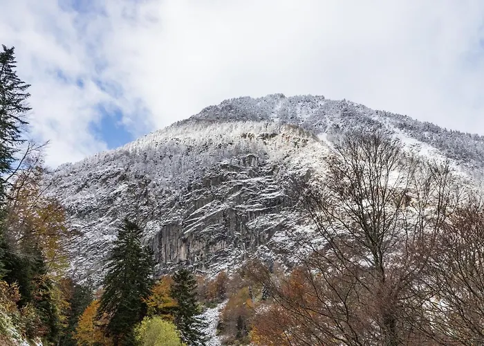 Le Foch - Centre - Parking Lourdes