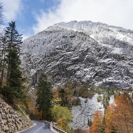 Le Foch - Centre - Parking Apartment