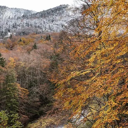 Le Foch - Centre - Parking Apartamento