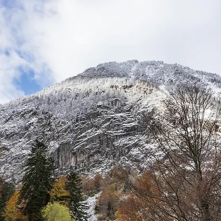Le Foch - Centre - Parking Lourdes