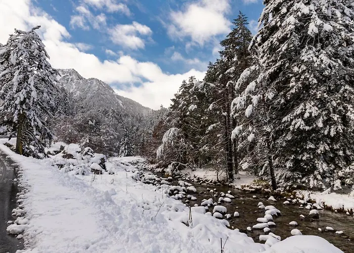 Daire Le Foch - Centre - Parking Lourdes
