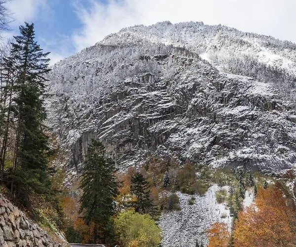 Le Foch - Centre - Parking Daire
