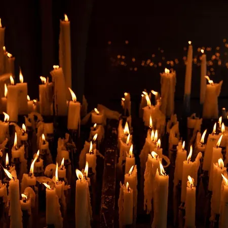 Le Foch - Centre - Parking