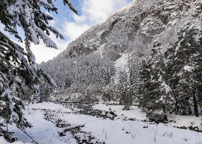 Le Foch - Centre - Parking Appartement *